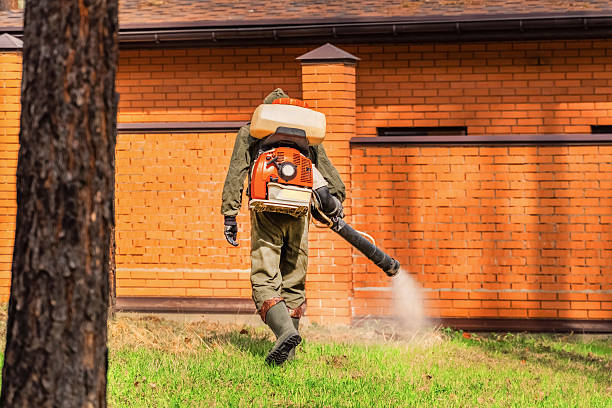 Trusted Termite Control service in Monessen, PA - Nex Pest Control